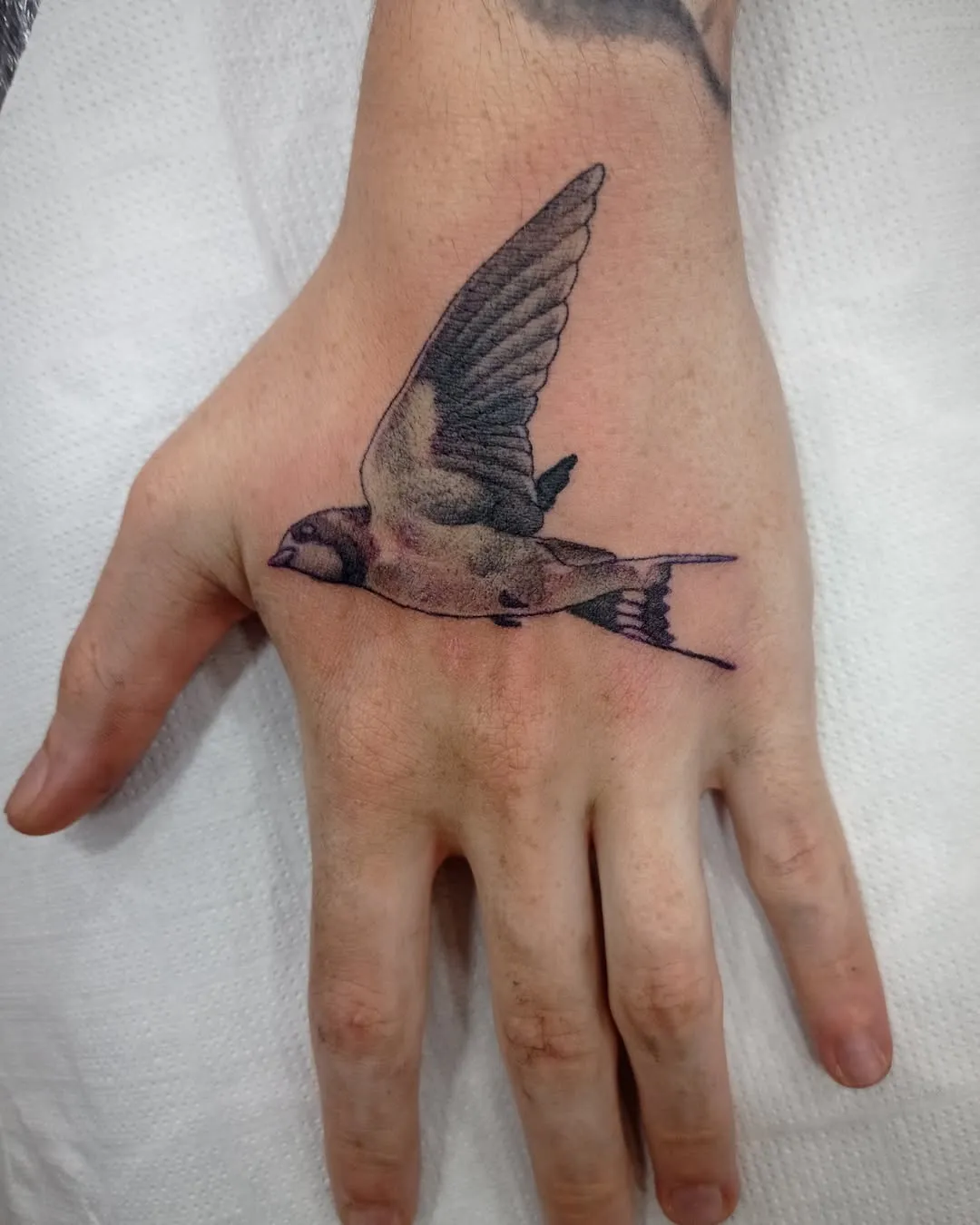 Tatuaje black & grey de golondrina volando en la mano