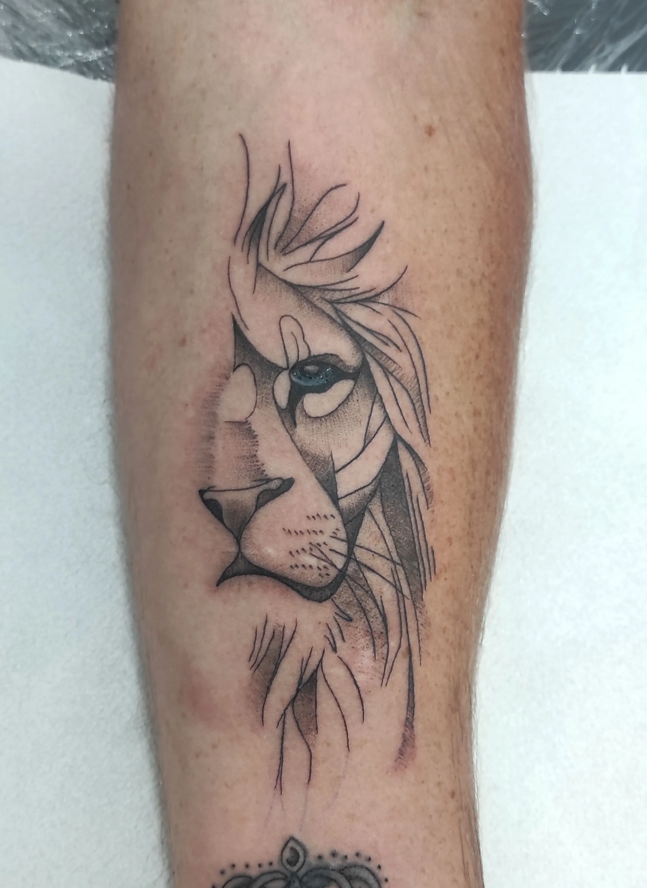 Tatuaje neotradicional de león a color
