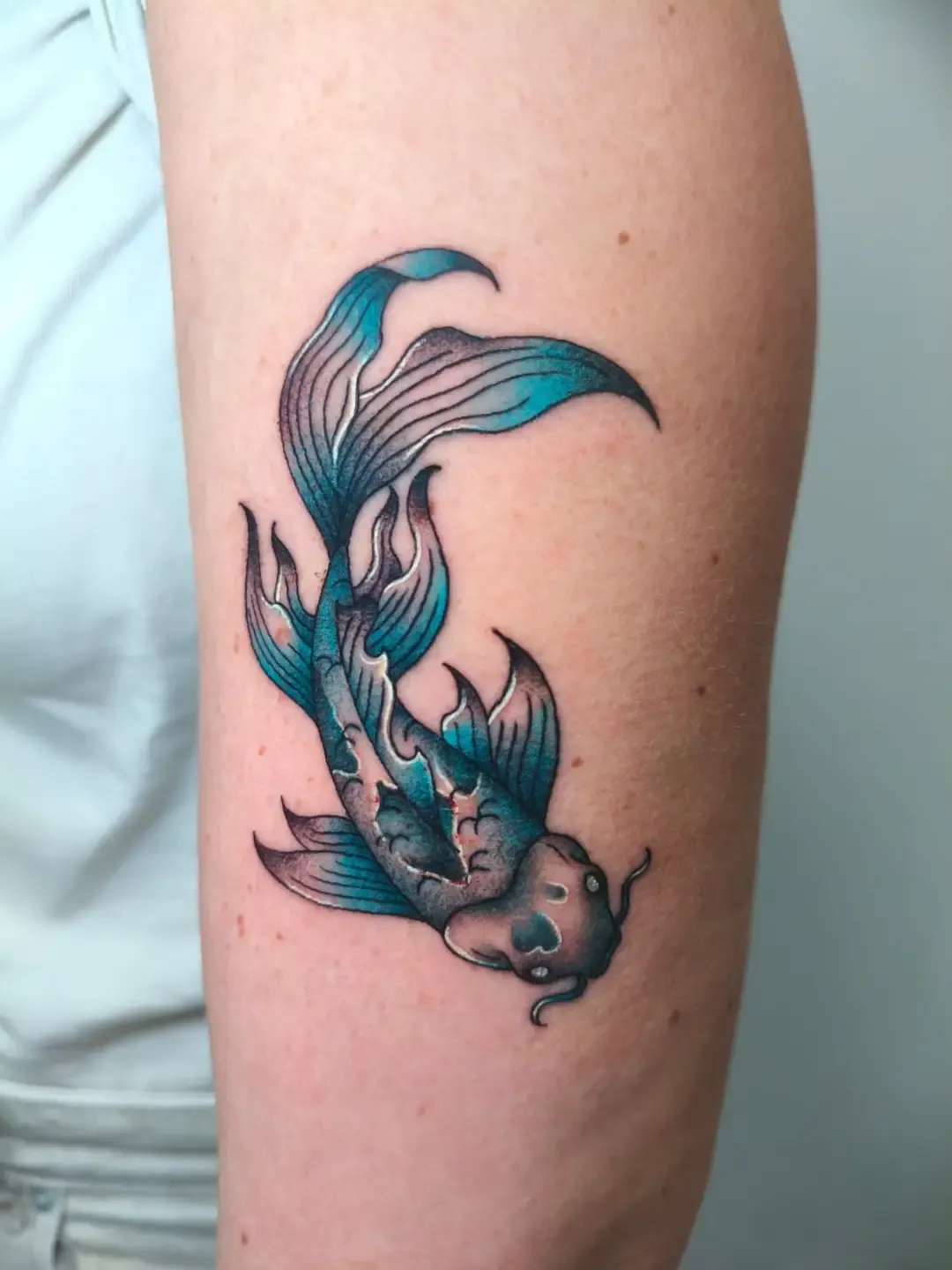 Tatuaje neotradicional de pez koi azul en el brazo